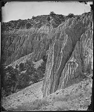 Salt Creek Canyon Utah