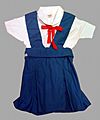 School uniform of Asuka and Rei, Neon Genesis Evangelion 20090306