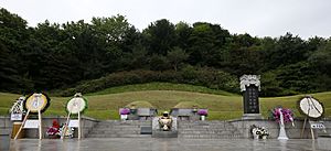 Seoul National Cemetery 19 (18292192929)
