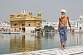 Sikh pilgrim at the Golden Temple (Harmandir Sahib) in Amritsar, India