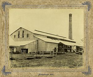 StateLibQld 1 236805 Homebush Sugar Mill, Mackay, ca. 1895