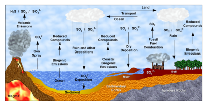 Diagram of the sulfur cycle