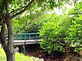 Terranova, Quebradillas, Puerto Rico - panoramio