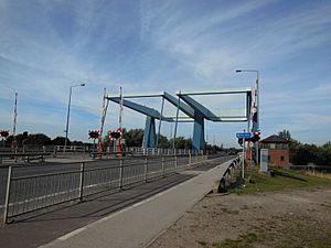 The twin bridges on Raich Carter Way, Hull (geograph 3675805)