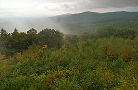View from Soapstone Mountain summit lookout tower in Connecticut's Shenipsit State Forest..JPG