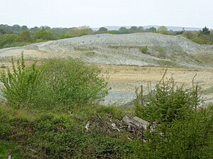 Warnham (4)