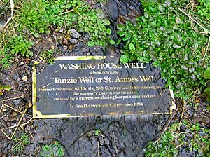 Washing House Well or Tanzie or St Anne's