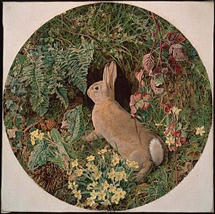 William J. Webbe - Rabbit amid Ferns and Flowering Plants - 1981.441 - Museum of Fine Arts