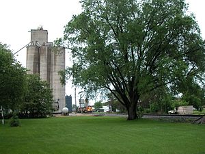 Grain elevator and railroad in Erie.