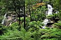 20100102 Triplet Falls - Otway Ranges - Victoria - Australia
