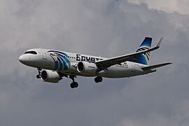 Airbus A320-251N (cn 9473, SU-GFJ) 2024-08-15 Andre Gerwing Collection ID 021636