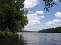 Alabama River RM192 Selma