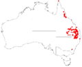AllocasuarinainophloiaDistributionMap26