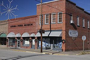 Aurora Fossil Museum