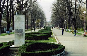 Bâcau, Romania. Monumentul Mircea Cancicov, March 2001