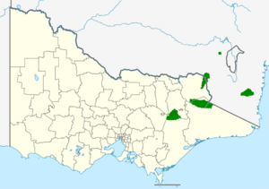 Banksia canei map