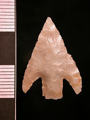Barbed and tanged arrowhead (dorsal) (FindID 394356)