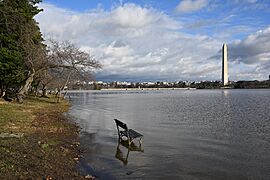 Bench in water due to flooding Tidal Basin Washington DC 2024-01-13 09-24-46