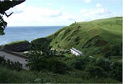 Berriedale Castle Mound - geograph.org.uk - 482685.jpg