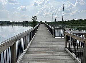 BlackBayouLake.Bridge