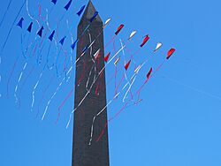 Blossom Kite Festival 3310052.jpg