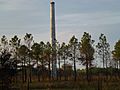 Brewster Florida Smokestack in 2012 from Old Highway 37