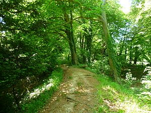 Bury Hill Andover Geograph-1899772-by-Chris-Talbot