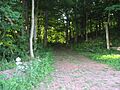 Butternut Hill driveway