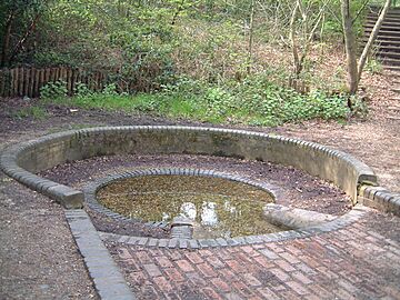 Caesars Well - geograph.org.uk - 870051