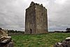 Castles of Munster, Lackeen, Tipperary - geograph.org.uk - 1542016.jpg
