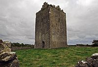 Castles of Munster, Lackeen, Tipperary - geograph.org.uk - 1542016