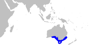 Partial world map with a blue outline along the coast of southern Australia