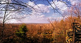 Clear Creek State Forest Lookout.jpg