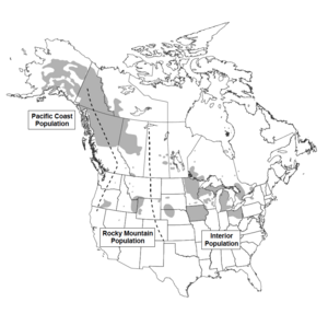 Current (2010) Summer Range of Trumpeter Swan USFWS