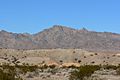 Dead Mountains 5