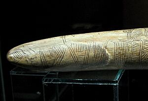 Engraving on a mammoth tusk, map, Gravettian, 076872x