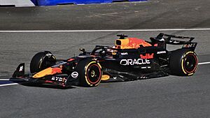 FIA F1 Austria 2024 Nr. 1 Verstappen