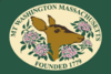 Flag of Mount Washington, Massachusetts