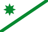 Flag of San José del Valle