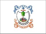 Flag of the 1st Maine Militia (1822–1861)