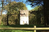 Fonmon Castle - Watchtower