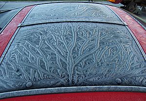 Frost patterns 25
