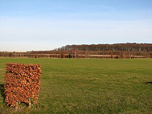 Gog Magog Golf Club
