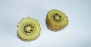 Golden kiwifruit