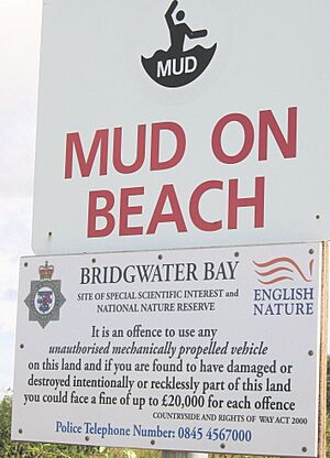 LargeMudWarning