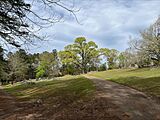 Lauderdale Springs Cemetery