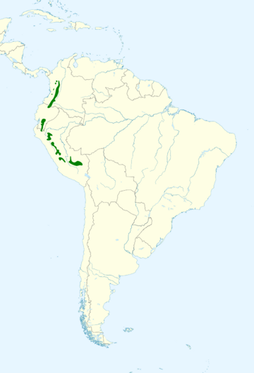 Leptosittaca branickii map.svg