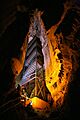 Mammoth Cave Mammoth Dome