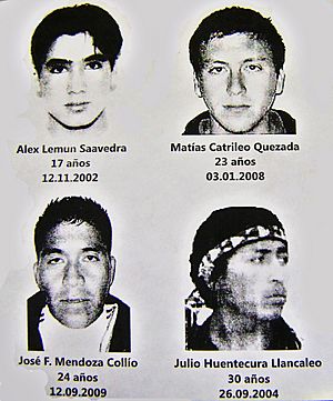 Mapuche conflict (youngs Mapuche dead for Chilean State in 00's)