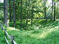 Mounds SP 1